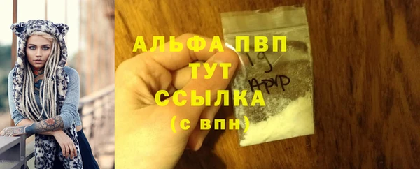 гашик Верея