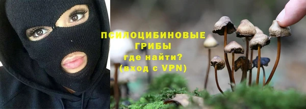 молекула духа Горняк