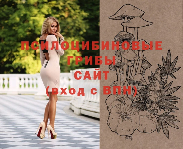 прущие крисы Вяземский