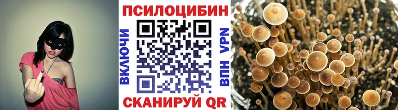 Галлюциногенные грибы ЛСД  Заводоуковск 